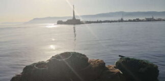 Nella mattinata di oggi i militari in servizio presso la Capitaneria di Porto – Guardia Costiera di Messina, sotto il coordinamento del Centro di controllo area pesca della direzione marittima di Catania, hanno sequestrato 6000 esemplari circa di ricci di mare e relative attrezzature