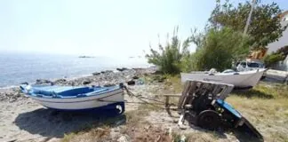 L’Assessore alle Politiche del Mare e Beni Demaniali (del Comune di Messina) Dafne Musolino rende noto che da domani, giovedì 2 sino al 30 settembre 2020, è stata riaperta la procedura di acquisizione delle istanze d’iscrizione al Registro natanti