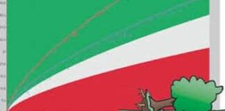 Per consentire il posizionamento di un argano meccanico e piattaforma aerea, al fine di eseguire prove di trazione per la verifica di stabilità degli alberi di pino insistenti sul lato valle di viale Italia, sono stati adottati provvedimenti viari…, a Messina