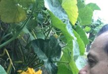 “Buona domenica”