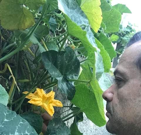 “Buona domenica”