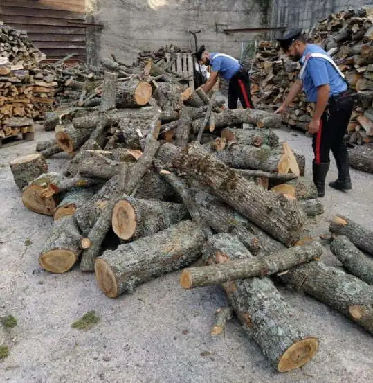 Tentato-furto-di-legna-arresti-CC-Mistretta-5