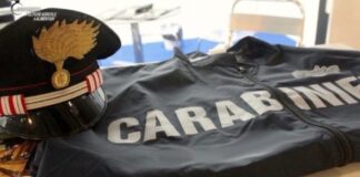 I Carabinieri dei Reparti Tutela Agroalimentare (R.A.C.) di Torino, Roma e Messina, nell’ambito di controlli sulla sicurezza del comparto agroalimentare, hanno ispezionato numerose aziende avicole