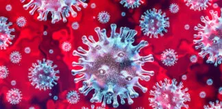 I casi di Coronavirus, fino ad oggi 30 luglio 2020 in Calabria
