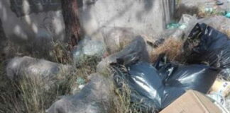 La Pineta di Calamona a Messina, viene sfregiata da criminali