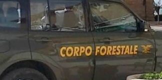 Riforma della Forestale, in Sicilia: Bozza in dirittura d’arrivo