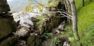 E’ dalla metà del secolo scorso che a Floresta la scia silente di una vecchia frana minaccia la parte lato monte della circonvallazione, l’arteria stradale maggiormente trafficata del piccolo centro del Messinese