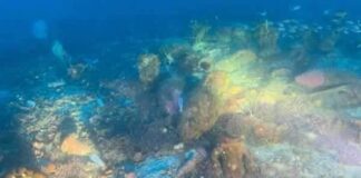 Un relitto giacente a una profondità di circa 70 metri di cui è ben evidenziato il carico, composto da anfore databili tra il II e il I secolo avanti Cristo, è stato individuato nello specchio d’acqua antistante Ustica