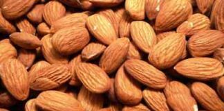 Il Reparto Tutela Agroalimentare (RAC) di Messina, congiuntamente a personale dell’ICQRF di Catania, a seguito di controlli presso un’azienda dedita alla commercializzazione di frutta secca biologica operante nella provincia di Ragusa, ha sequestrato 97,7 tonnellate di mandorle bio