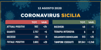 SARS CoV-2, i casi del 12 agosto 2020: 29 nuovi positivi