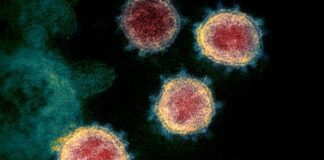 La situazione, sulla Pandemia da Sars Cov-2, in Calabria