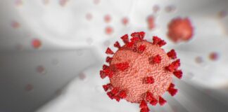 Fino al 17 agosto 2020, in Calabria sono stati effettuati 134.570 tamponi per il Coronavirus