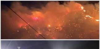 Nello Musumeci (governatore siciliano): ” È stata una notte difficile”