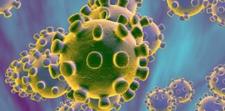 Il Bollettino sul Coronavirus, nella Regione Calabria, oggi 04/08/2020