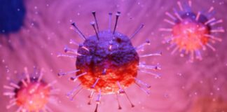 Sars Cov-2: la situazione…, fino ad oggi 21 agosto 2020 in Calabria