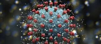 1.491, sono le persone fino ad oggi risultate positive al Covid-19