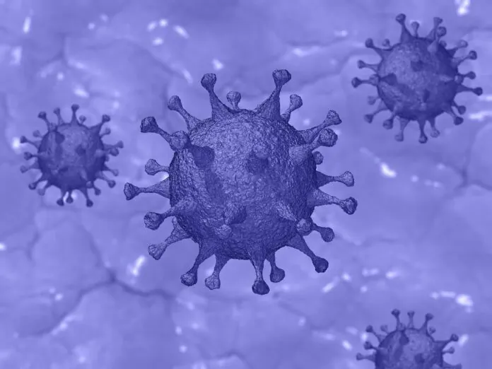Coronavirus-6