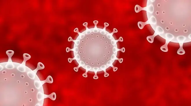 coronavirus-676917.660x368