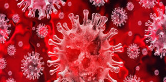 Covid19…, in Sicilia: 102 nuovi positivi