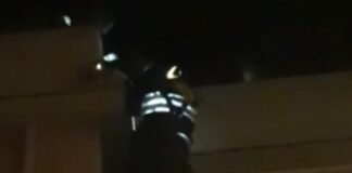 Nella notte del 16 Ottobre scorso, la squadra operativa dei Vigili del fuoco del distaccamento di Lipari, ha soccorso un cane di taglia media