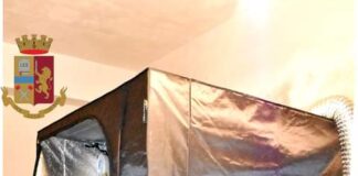 E’ stato arrestato (dai poliziotti della Questura di Messina) nei giorni scorsi perché ritenuto responsabile dei reati di coltivazione, produzione e detenzione di sostanze stupefacenti