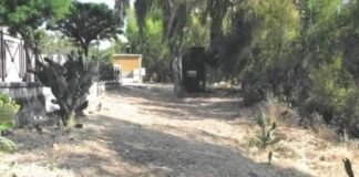 Un raggruppamento di imprese, che fa capo alla catanese Mada Engineering, è già all’opera per pianificare gli interventi di consolidamento