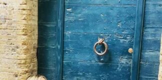 di “Da Noi… A Ruota Libera” in diretta domenica 1 novembre alle 17.20 su Rai1, intervisterà Raul Bova, che a partire dal suo amore per il nuoto racconterà lati inediti della sua vita