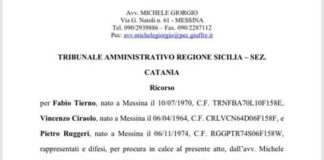 “Impugnare l’Ordinanza Sindacale n. 339/2020 che ha disposto -la sospensione, dal lunedì alla domenica, dalle ore 19.00 alle ore 05.00 del giorno seguente, di tutte le attività professionali, ad esclusione di quelle sanitarie e parasanitarie?”