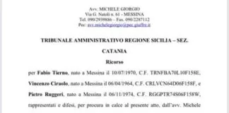 “Impugnare l’Ordinanza Sindacale n. 339/2020 che ha disposto -la sospensione, dal lunedì alla domenica, dalle ore 19.00 alle ore 05.00 del giorno seguente, di tutte le attività professionali, ad esclusione di quelle sanitarie e parasanitarie?”