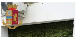 Una attività di parrucchiere abusiva…, è stata scoperta durante un controllo effettuato dai poliziotti delle Volanti nel rione Mangialupi di Messina