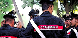 Nel corso del mese di novembre, i Reparti Tutela Agroalimentare (RAC), unitamente ai Nuclei Investigativi di Polizia Ambientale Agroalimentare e Forestale (N.I.P.A.A.F.) e alle Stazioni dei Gruppi Carabinieri Forestali, sul territorio nazionale, hanno eseguito controlli presso 56 aziende del settore agroalimentare