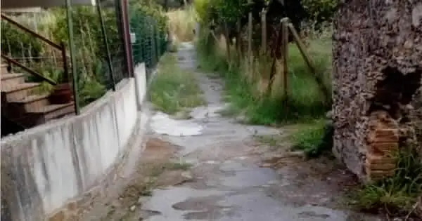 received_3412056252183003
