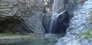 Si tratta del funzionario regionale Lorenzo Ruisi