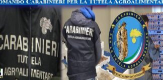 Nelle decorse settimane, i Reparti Tutela Agroalimentare (RAC), unitamente ai Nuclei Investigativi di Polizia Ambientale Agroalimentare e Forestale (N.I.P.A.A.F.) e alle Stazioni dei Gruppi Carabinieri Forestali, sul territorio nazionale, hanno eseguito controlli presso 72 aziende del settore agroalimentare