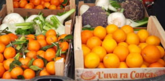 Intensa attività svolta quest’oggi dalla Polizia Commerciale di Messina…, diretta dal comandante vicario commissario Giovanni Giardina nei mercati cittadini