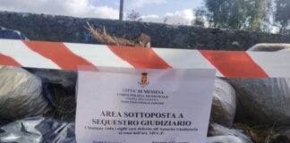 Gli agenti della Polizia Municipale di Messina, afferenti alla Sezione Ambientale e tutela della salute pubblica, nelle scorse ore hanno scoperto un macello abusivo