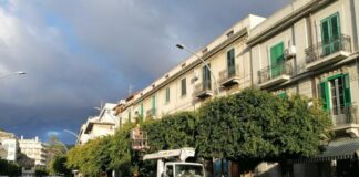 Riqualificazione verde urbano: da lunedì 18 limitazioni viarie in tratti di via Tommaso Cannizzaro e di viale della Libertà a Messina