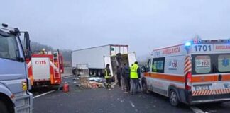 Lo ha riferito oggi su Facebook, Ilaria Fagotto (presidente della Lega Antispecista Italiana)