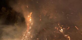 Ieri mattina a Longi (ME), i Carabinieri hanno arrestato un operaio forestale 61enne incendio