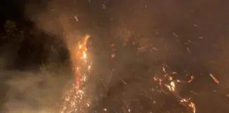 Ieri mattina a Longi (ME), i Carabinieri hanno arrestato un operaio forestale 61enne incendio