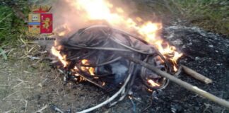 1 denunciato, 546 persone controllate in 64 diversi siti ferroviari, 22 i treni su cui è stato effettuato un servizio di pattugliamento, diverse sanzioni elevate e 100 agenti impiegati: è il bilancio dei controlli straordinari effettuati dalla Polizia Ferroviaria in Sicilia nell’ambito della 1^ giornata Rail SAFE DAY dell’anno 2021