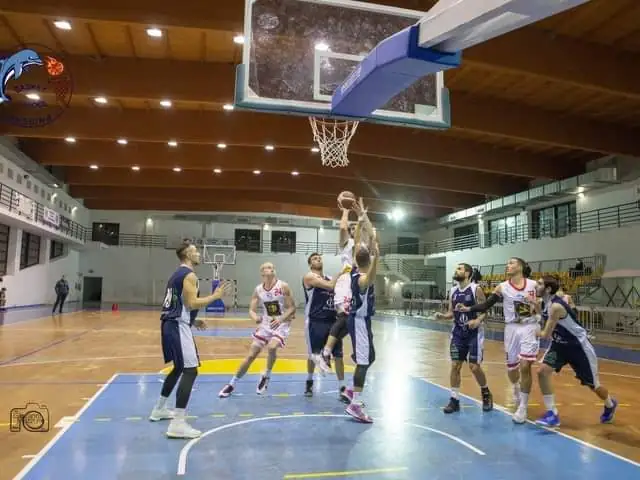 basket