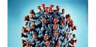 A Milazzo: ecco…, il report sui dati (del Covid) registratisi ieri in Città e diffusi dall’Asp 5