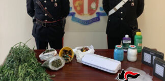 I Carabinieri della Stazione di Gioiosa Jonica hanno arrestato per produzione e detenzione di sostanza stupefacente ai fini di spaccio Agostino Giuseppe