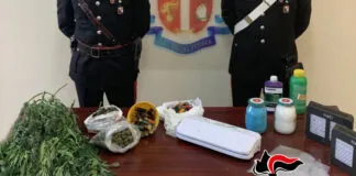 I Carabinieri della Stazione di Gioiosa Jonica hanno arrestato per produzione e detenzione di sostanza stupefacente ai fini di spaccio Agostino Giuseppe