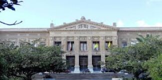 Zone a Protezione Speciale di Messina e Sentenza del Tar di Catania: è stata diffusa una nota congiunta, da parte degli Assessori Musolino e Mondello