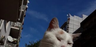 “Perchè nasce questa pagina…”