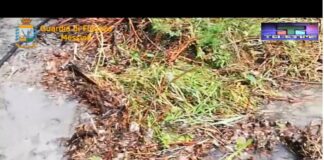 Messina: i Finanzieri del Comando Provinciale peloritano…, hanno scoperto lo sversamento di acque reflue fognarie nel fiume Postoleone, che scorre sui monti peloritani