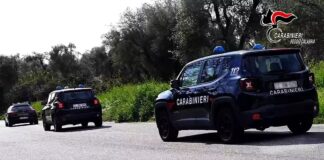 Continuano i controlli dei militari dell’Arma finalizzati al rispetto delle normative vigenti per prevenire e reprimere i reati inerenti il lavoro sommerso e in materia ambientale, focalizzati presso le aziende agricole