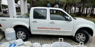 Gli operatori della Guardia Costiera, hanno agito a Roccella Jonica sequestrando 470 Kg di novellame di sarda, comunemente chiamato “bianchetto” o “neonata”